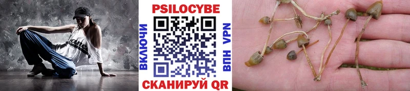 Галлюциногенные грибы прущие грибы  ссылка на мегу ТОР  Щучье  купить наркотик 